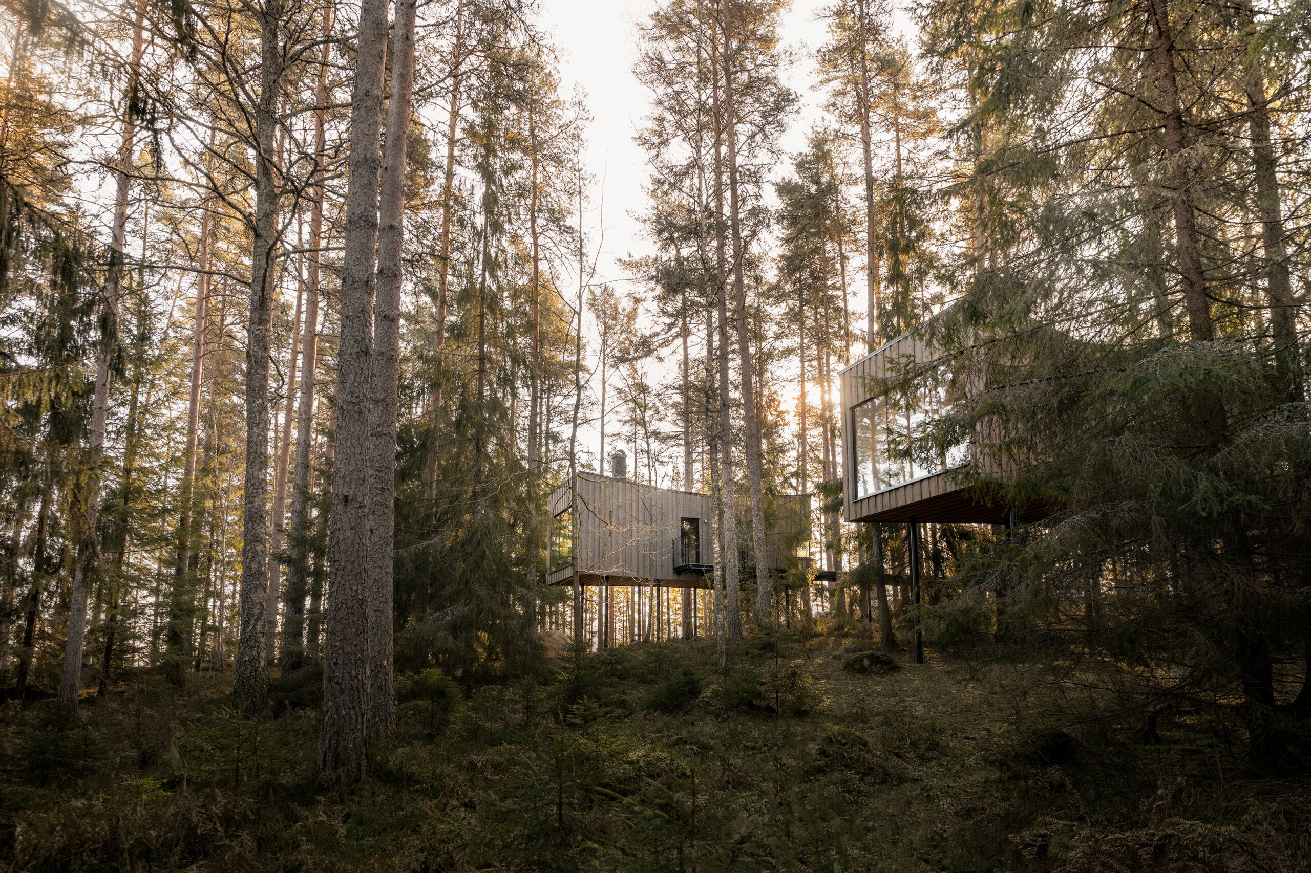 Trakt architecture